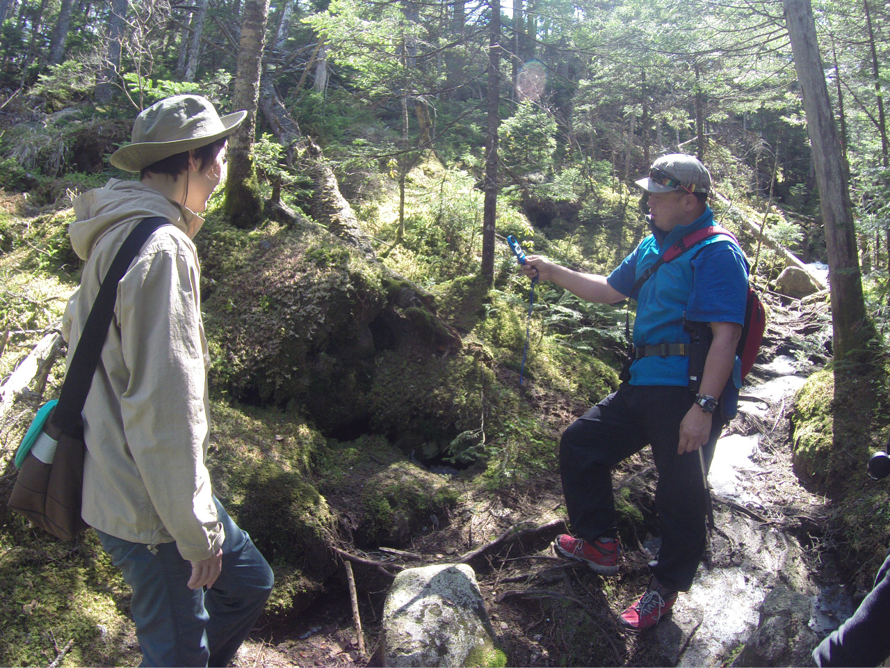 ガレ場の植生を説明