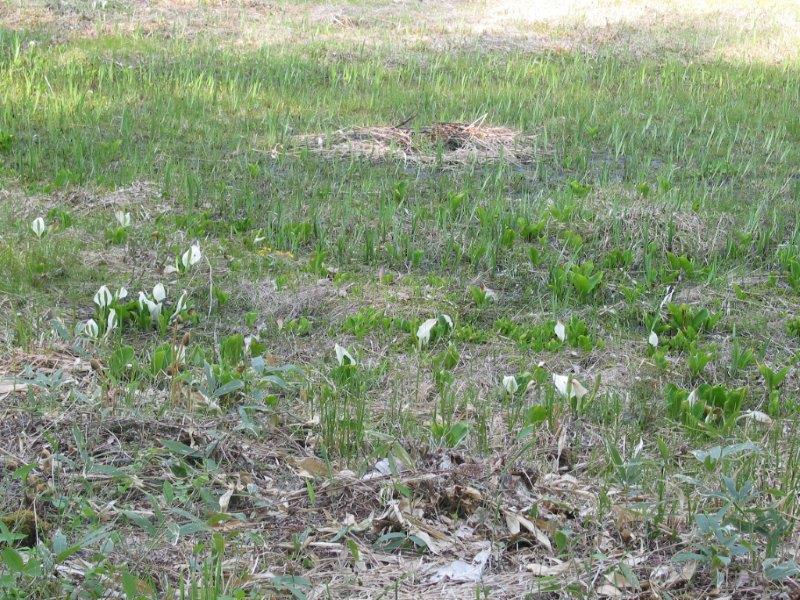 ���J�������~�Y�o�V���E