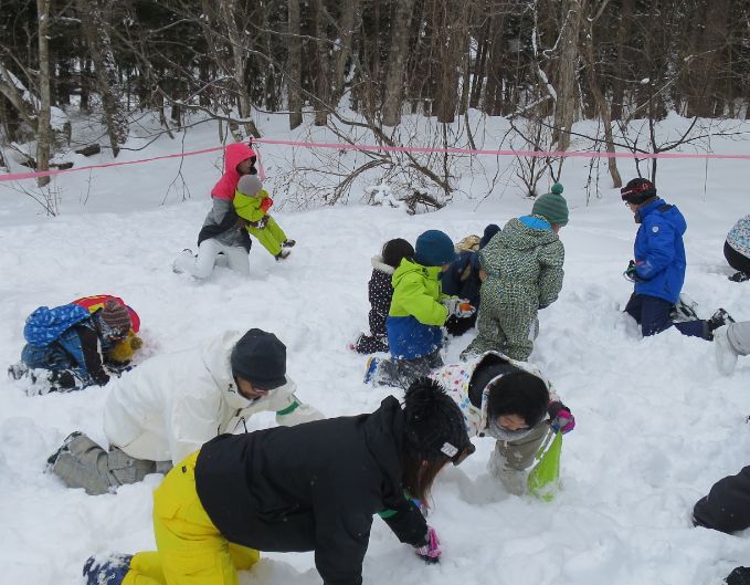 Ō̂y݁I̒牽邩ȁIH