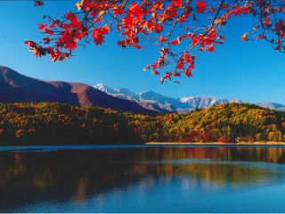 錦秋の青木湖