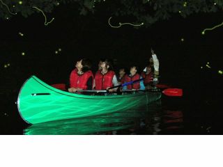 愛と藍の世界へ 青木湖ホタル観賞クルーズ