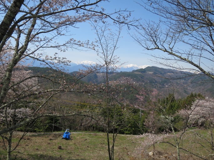 ��{���t�߂���k�A���v�X�̖ꂪ�x�A���������x��]�ށB