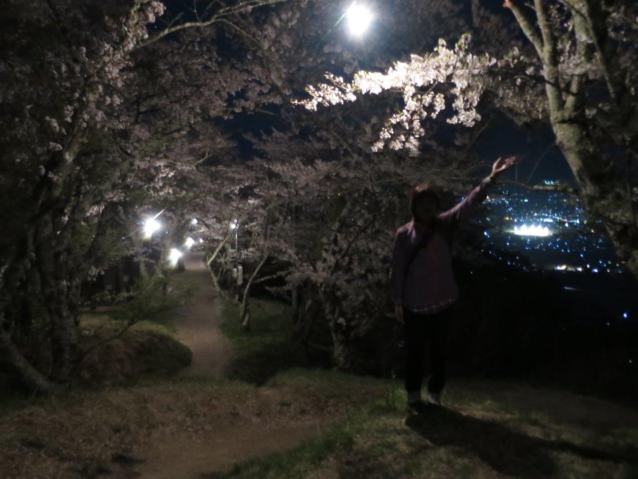 ���C�g�A�b�v���ꂽ���