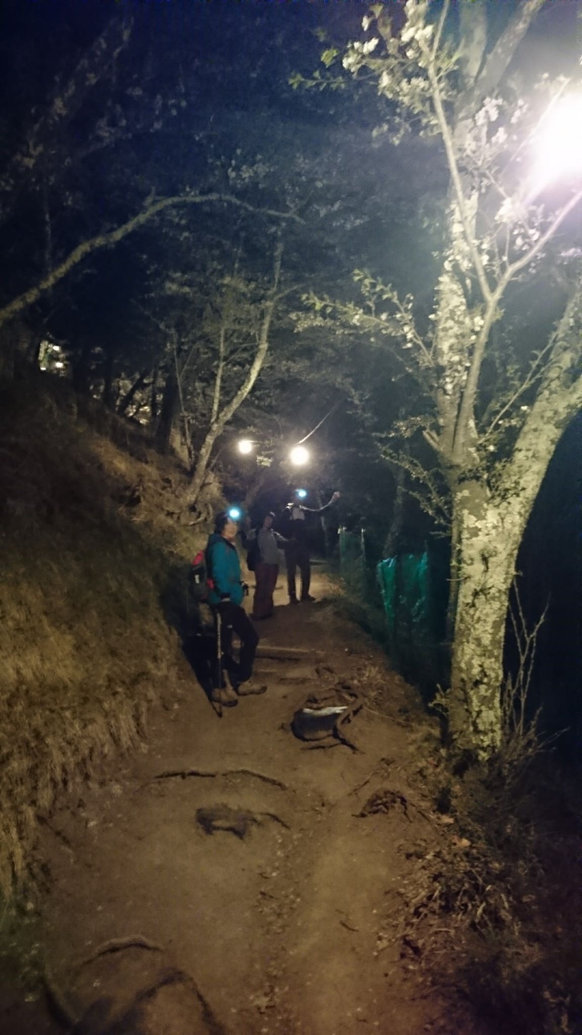 �W�O�U�O�̋}�Ζʂ����