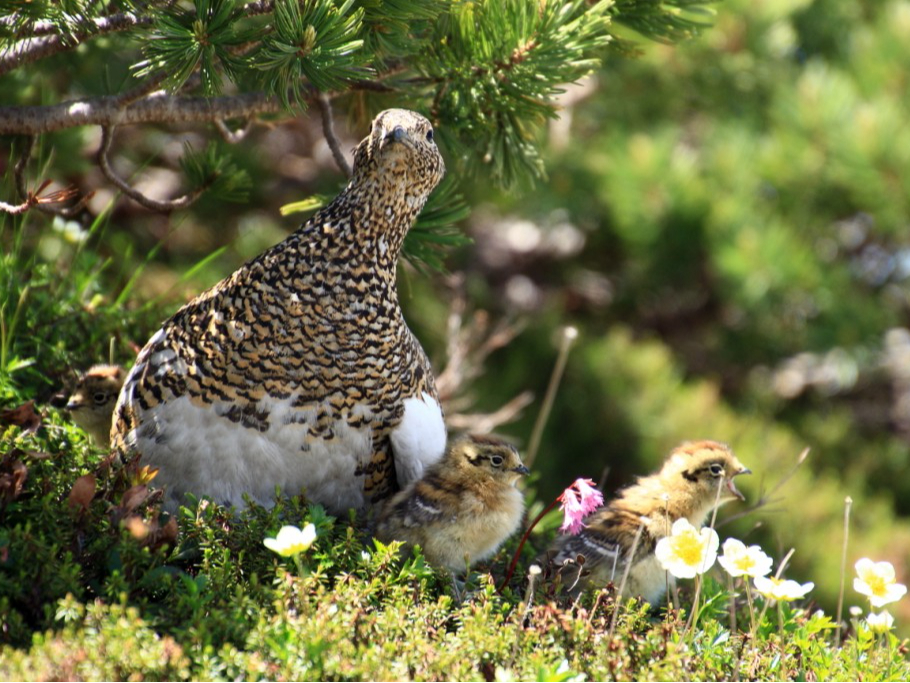 �咬�R�x�����ف@����