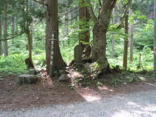 佐野坂西国33番観音