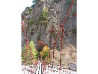 吊り橋