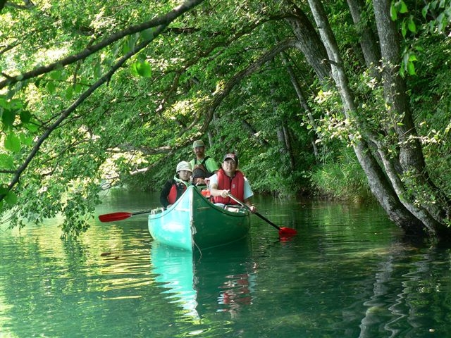 �،ΌΊ݂̎��R�ȕω����y���݂܂�