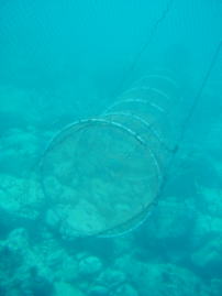 つぼ網(海の中)