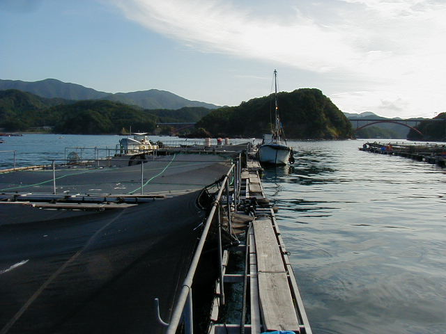 鯛の養殖場