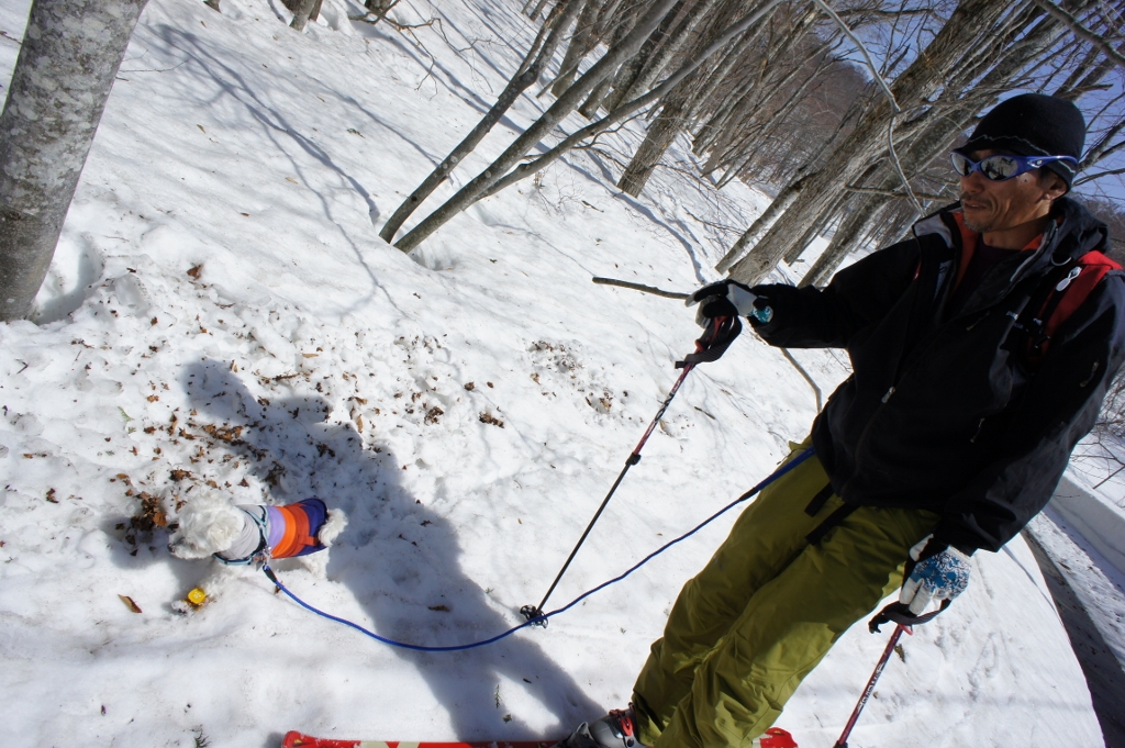 1ĝ݂Ȃ̂ŁAꏏɕ܂B