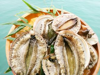 新鮮アワビ、踊ってます。