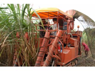 温かい我喜屋ファミリーがおもてなし!