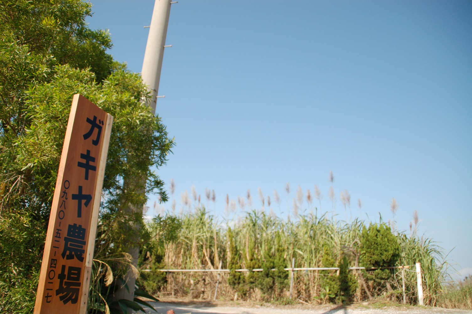 目印はこの看板!