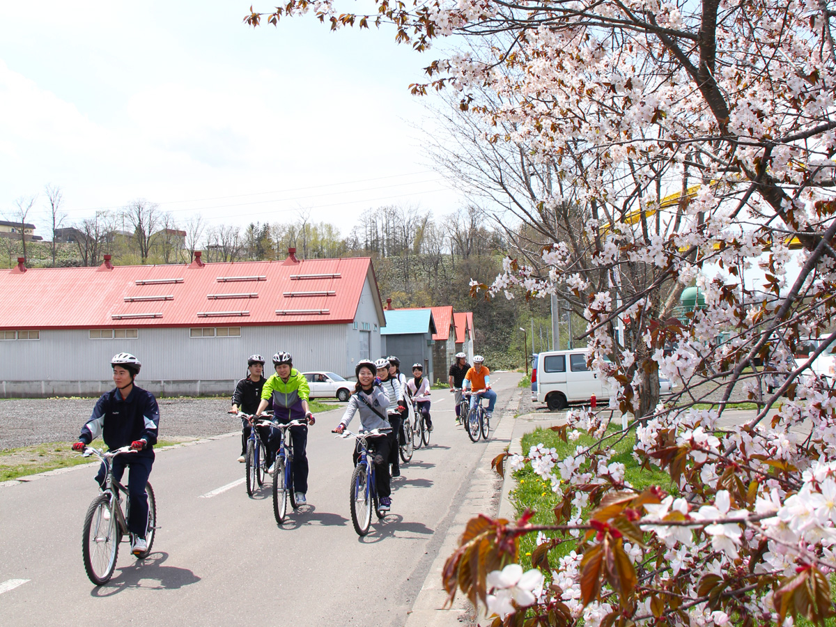 �S�[���f���E�B�[�N�O�オ���̃V�[�Y���ł�