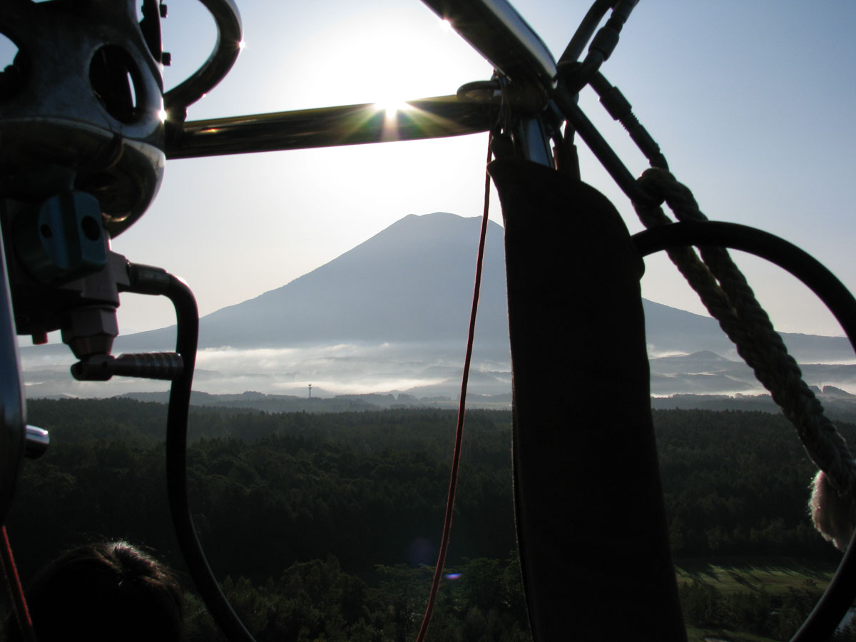 ���̐V�N�ȋ�C�Ɨr���R�i�ڈΕx�m�j