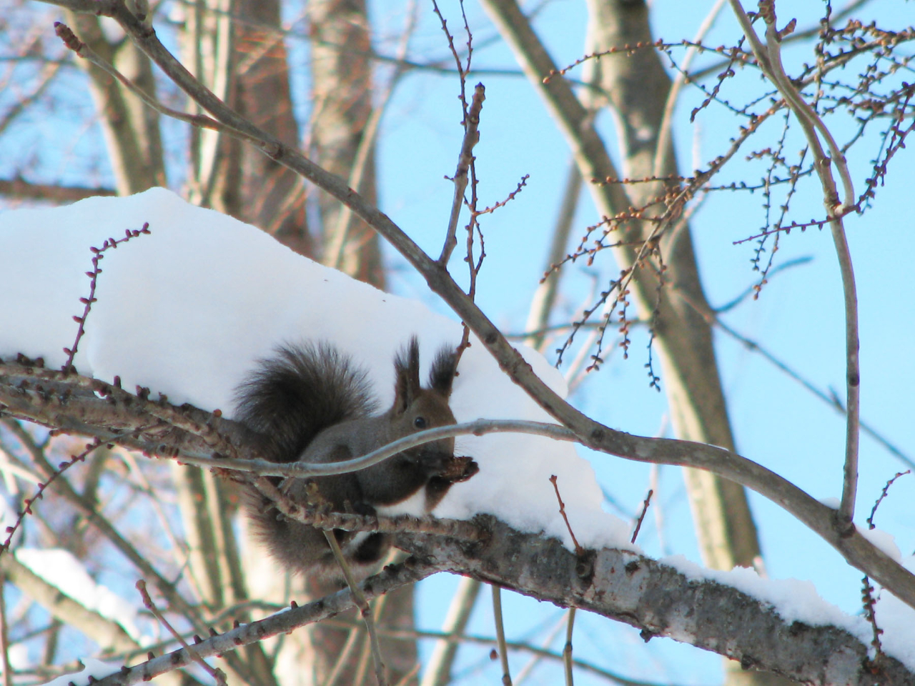 ^悯΁AG]XɏoႤI