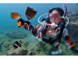 体験ダイビング中に、カラフルな熱帯魚も沢山集まってきます。その感動のワンシーンを写真撮影してプレゼントします。
