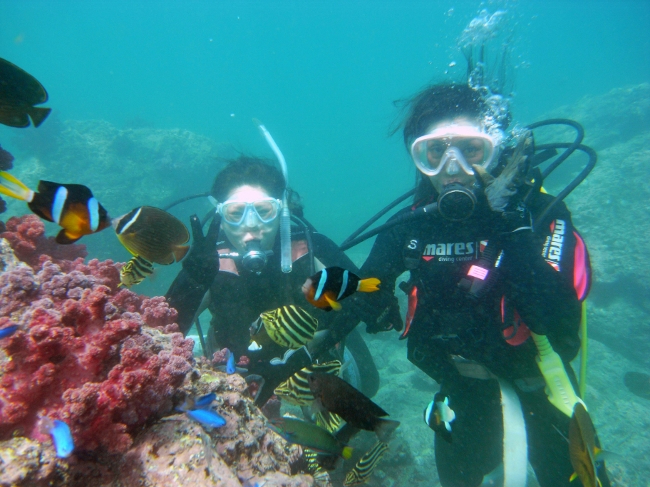 j̒ԂȂǃJtȔMыĂ܂I