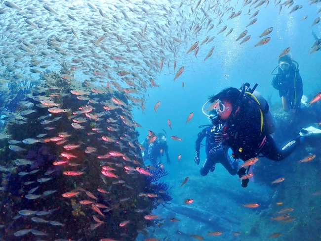 Ɉ͂܂C̊̌𖡂Ă݂܂񂩁I