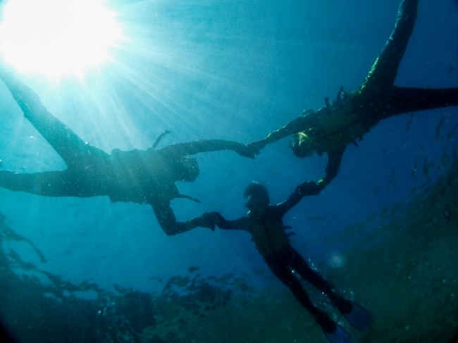 t@~[₨FBȂǂƂ̎voÂɁ