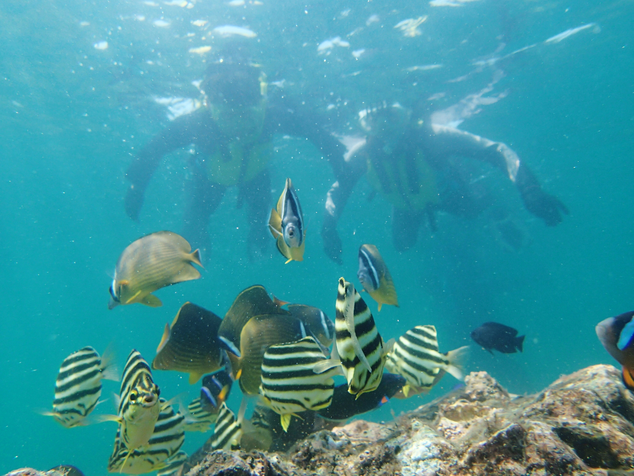 t@~[₨FBȂǂƂ̎voÂɍœKł