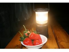 �Ɩ������g�p���Ă̂��������ɂȂ�܂��B