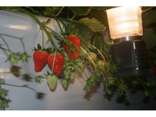 �����͏Ɩ����_���Ȃ��̂ŁA�Ɩ��������Q���Ă��������B