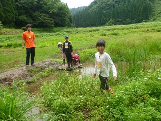 夏の里山「生き物探検」