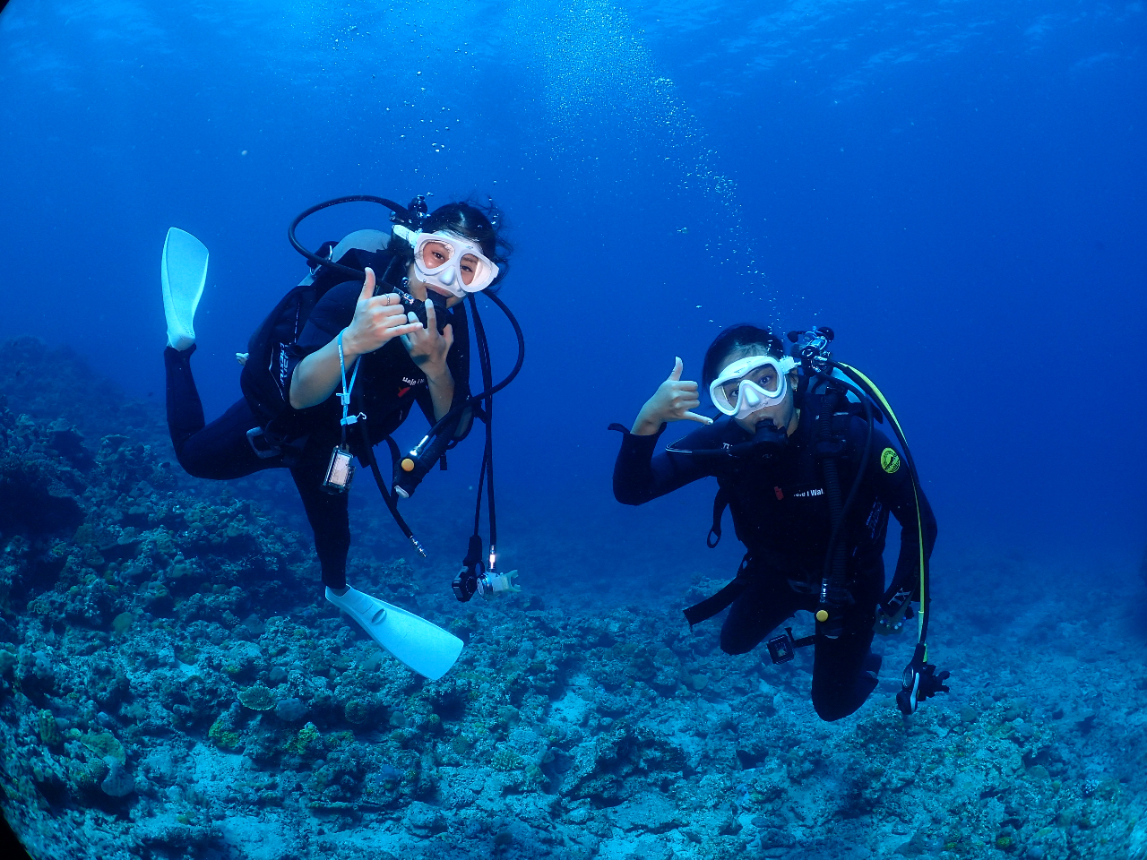 S҂̕łSICXgN^[ƃT|[g