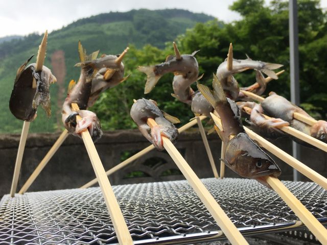 清流でオーナー自らが釣った超新鮮な渓流魚を味わえます。四季折々のお魚をご用意♪