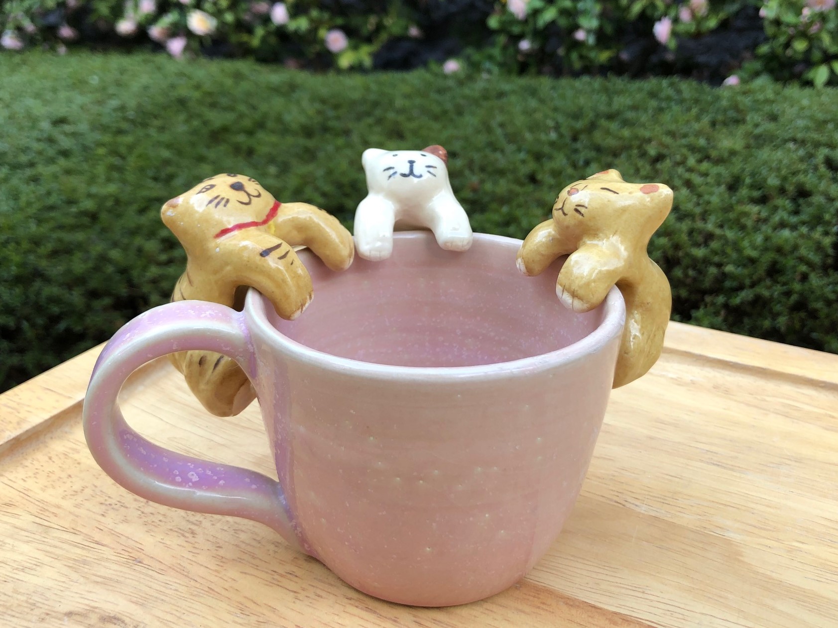 Jr大阪駅から徒歩3分 手びねり陶芸体験 に挑戦 高台仕上げ で より上質な作品に カップやお皿など自由自在に作品作りを楽しもう 梅田のオシャレな教室です 周年キャンペーン割引中 メイト陶芸教室 梅田 じゃらん遊び体験