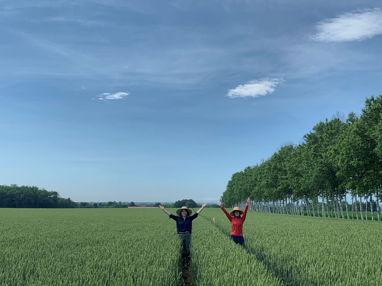 ���̒��͋󂪍L���I