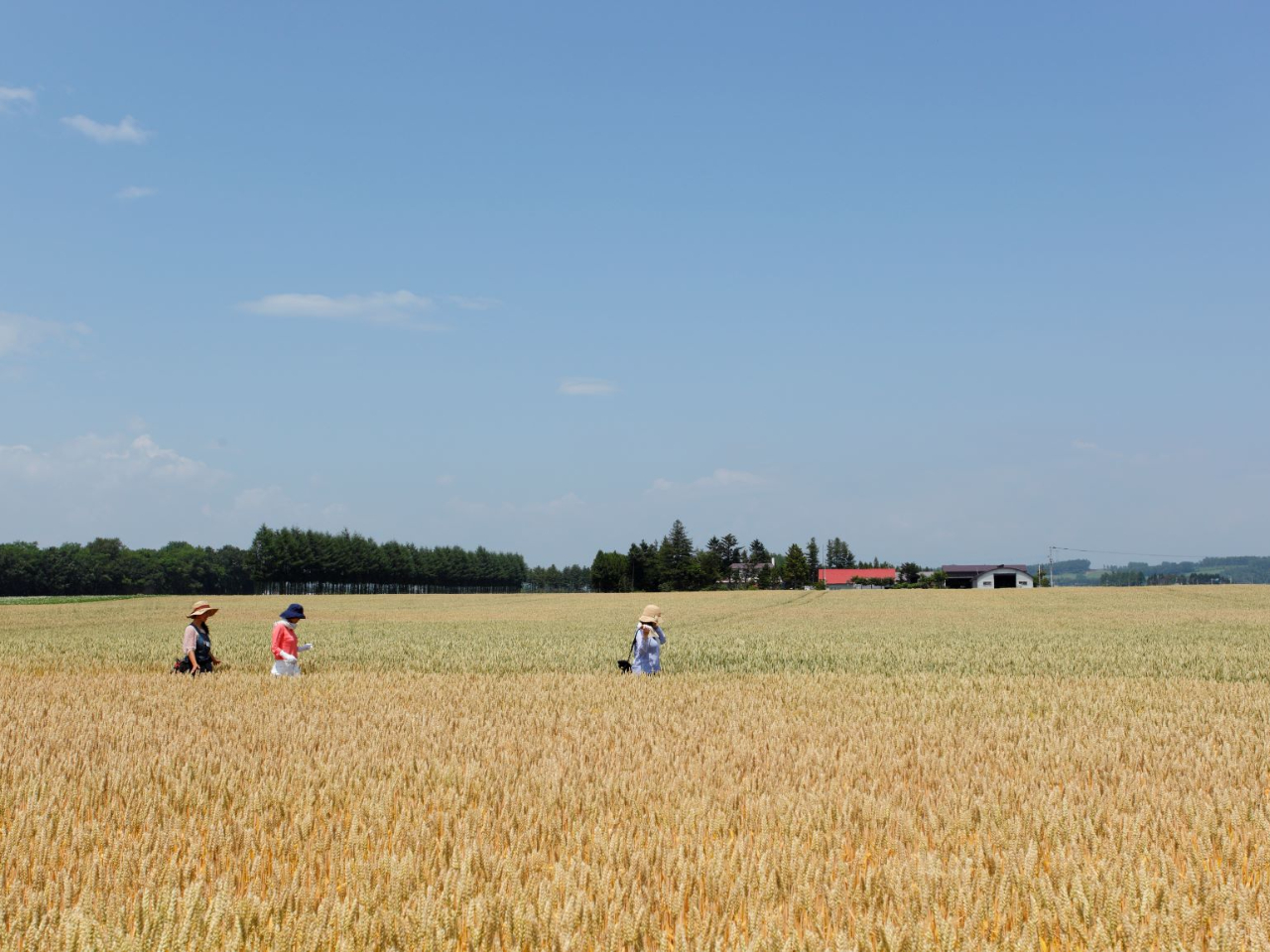 �����F�ɋP���������͈�u�̐�i