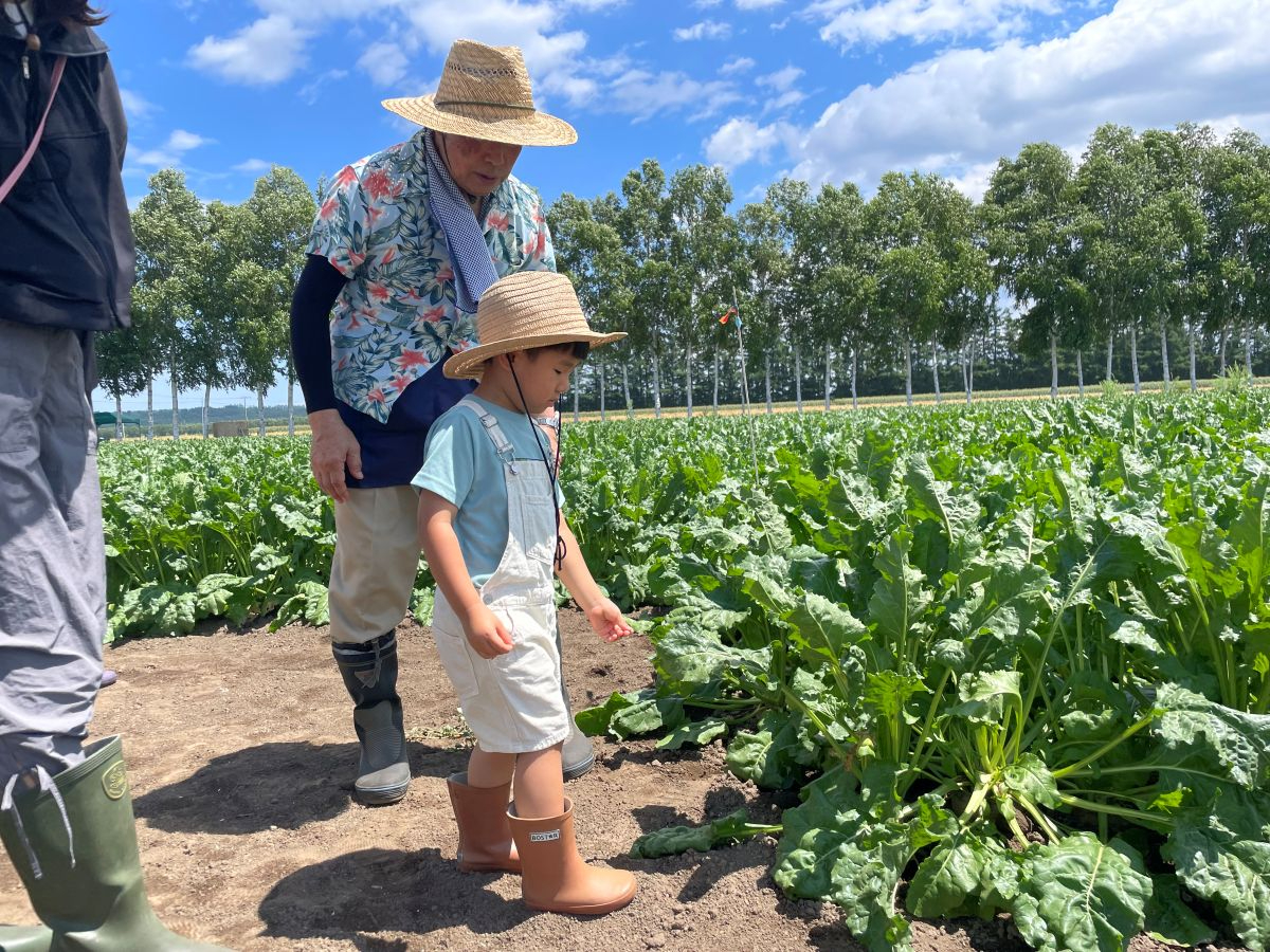 �{���̔_�Ƃ���̔����ԋ߂Ŋώ@