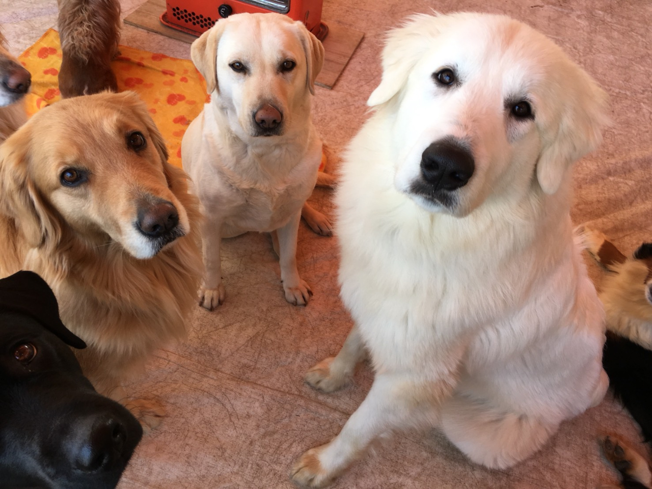 񃉃hł͂ƂȂB҂Ă܂