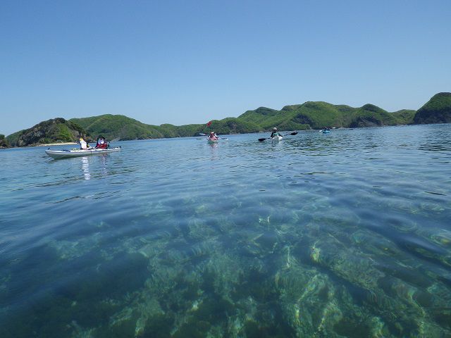 リアル水族館!