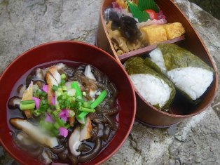 yu̘Zq`vlӂŗAuΔnϕٓvƃ`I