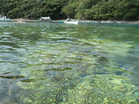 ROނΔñTSQ́AEŖk[łI