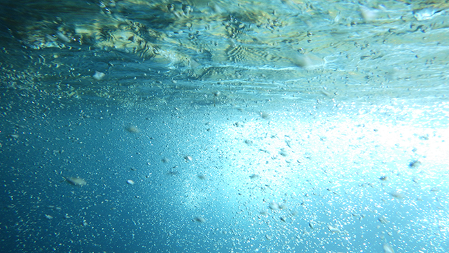 lƓ̃u[͑Ō邱Ƃ̂łȂXyVȃcA[B