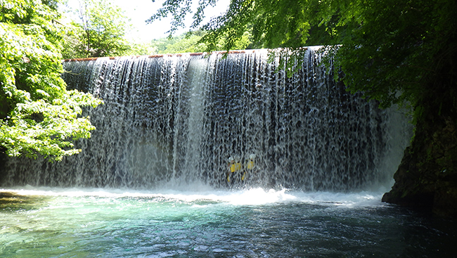 X^[g͐̃J[ev؂Ĕяo܂傤I