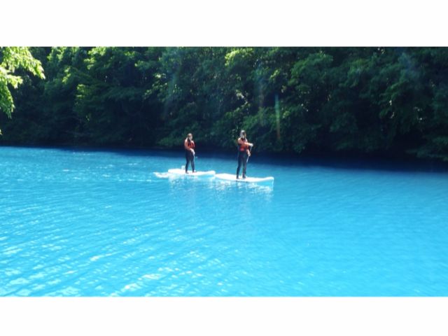 視界が開けた場所では、のんびり自由に♪