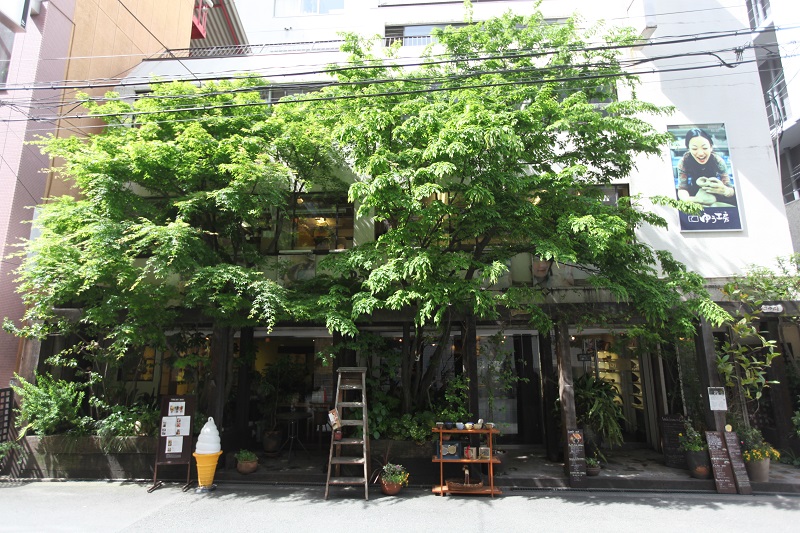 大阪・梅田】好きなうつわを選んで絵付け体験☆陶芸ワークショップ