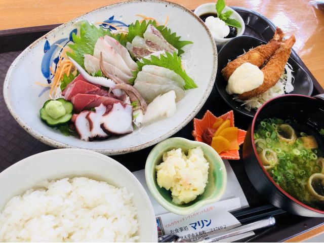 じゃらん限定 お得なランチ付セット 刺身定食 イルカウォッチング ドリンクバー付 ファミリー 女性同士 カップルにおすすめ イルカ マリンワールド じゃらん遊び体験 じゃらん限定 お得なランチ付セット 刺身定食 イルカウォッチング ドリンクバー付 ファミリー 女性同士 カップルにおすすめ イルカ マリンワールド じゃらん遊び体験