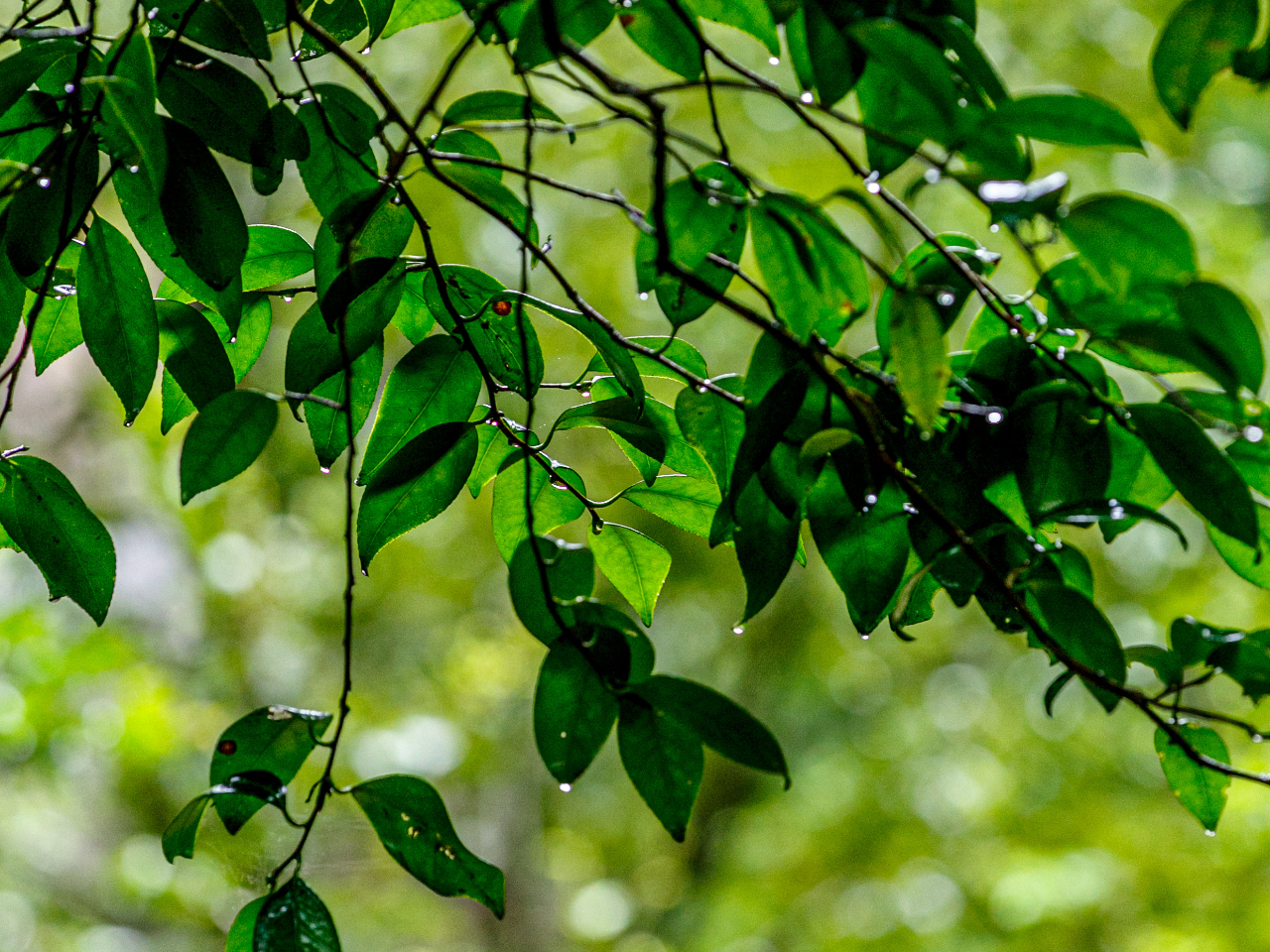 �X�̒��A��̂����炬�Ɨ΂̔������ɐS����������B