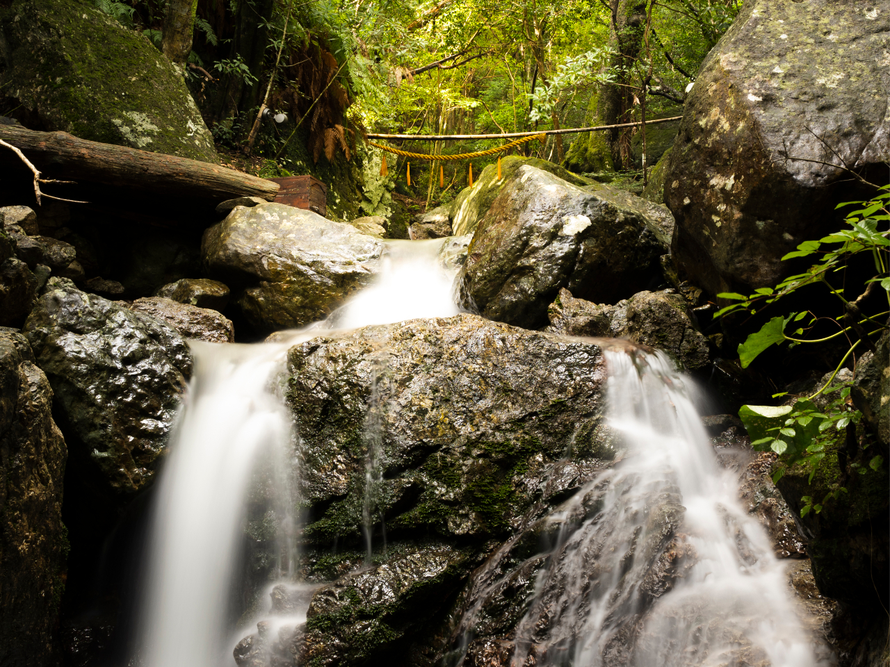 ����喾�_�̑�s�̌��Ƃ̃Z�b�g�v���������p�ӂ��Ă��܂��B