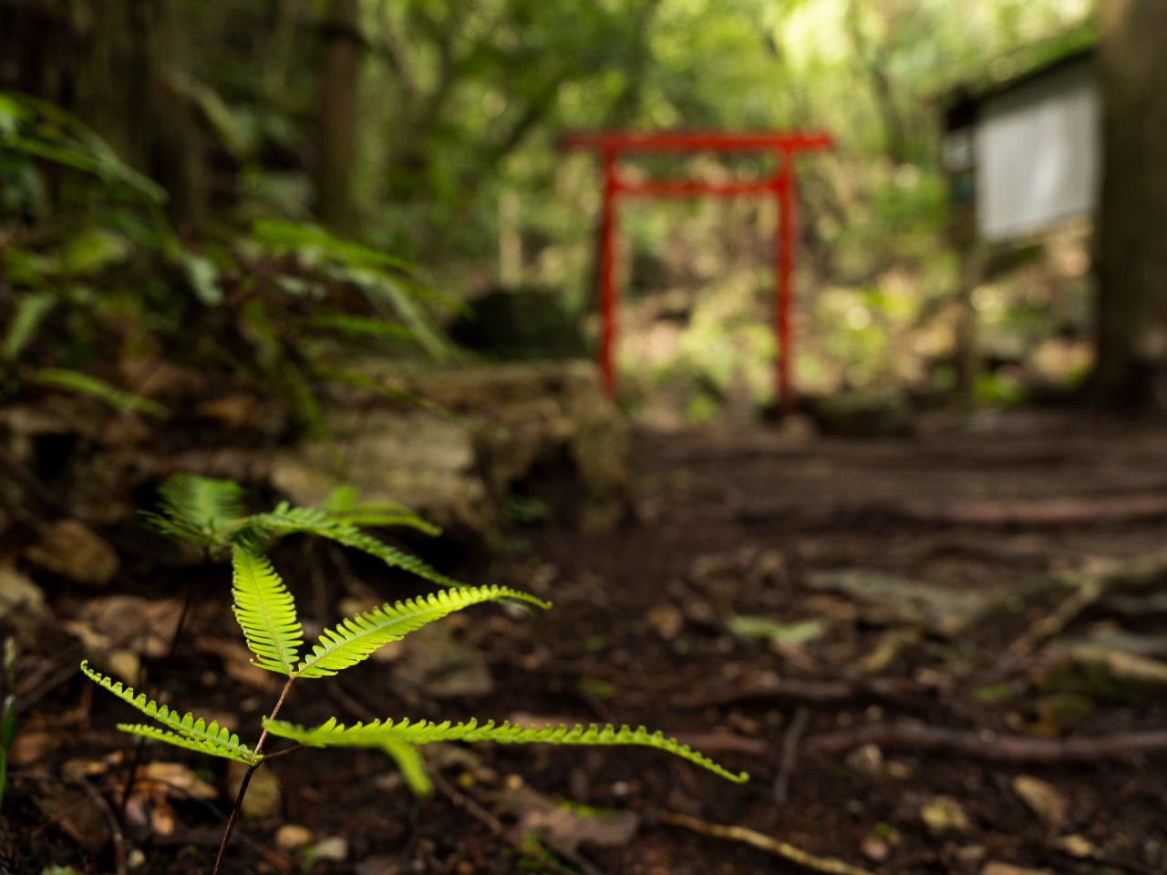 150قǏ쉈̎Qi񂾂Ƃɂ锒喾_