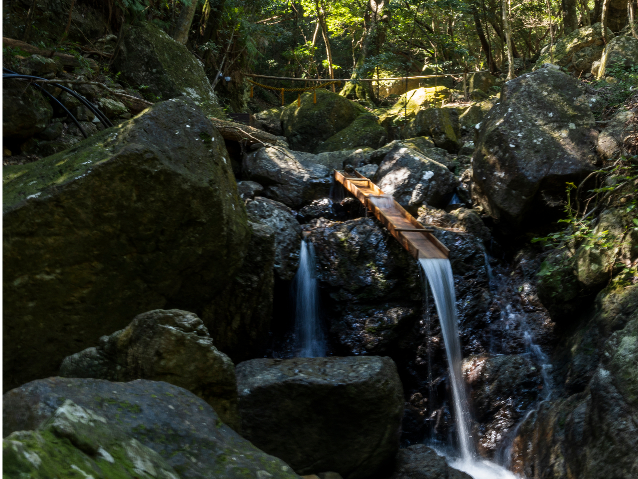 ʂȂꍇ́As̐ʂŒ܂B