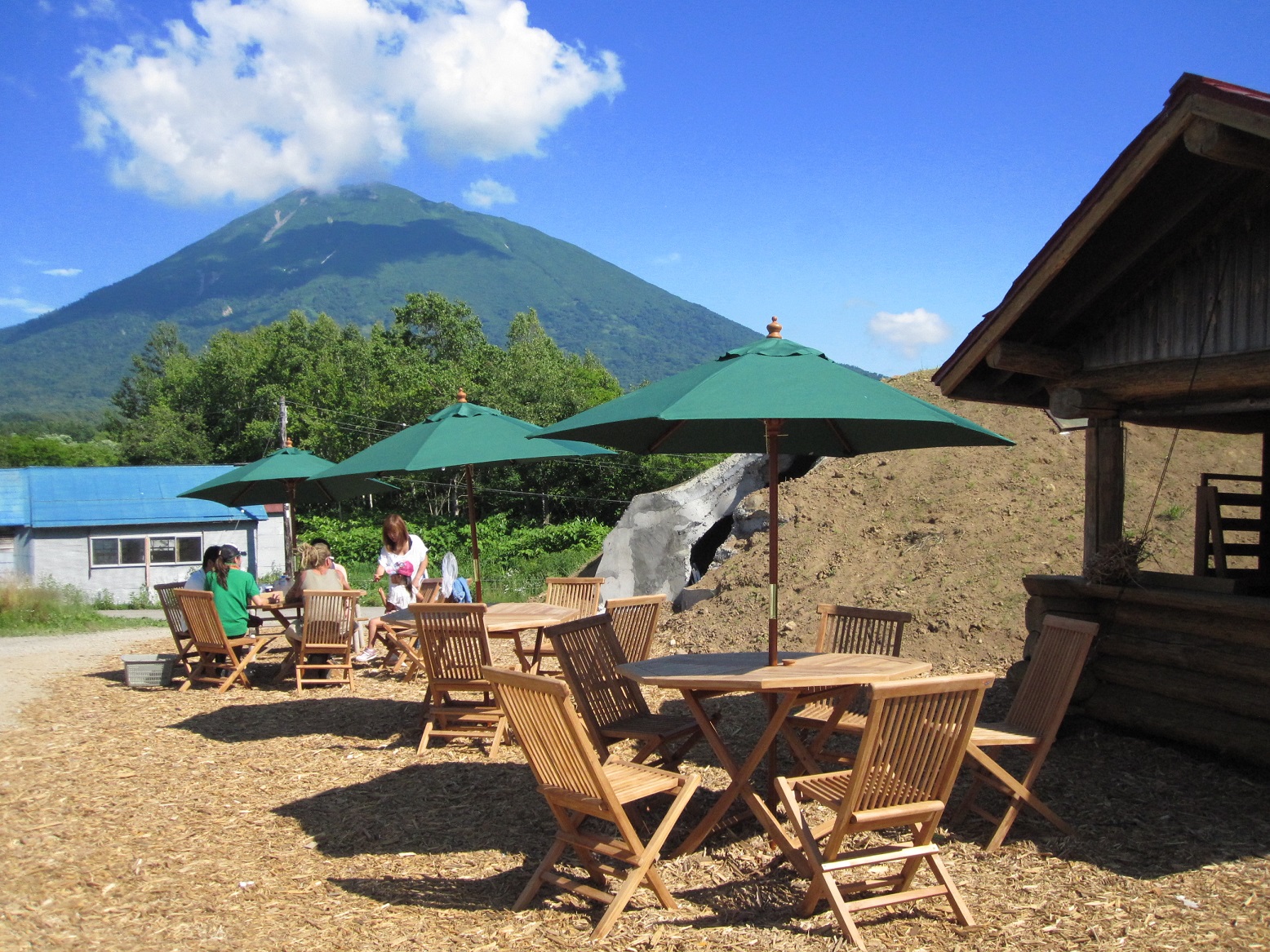 ☆感動!石窯ピザ作り体験☆ 自分で収穫したオーガニック野菜をトッピング!