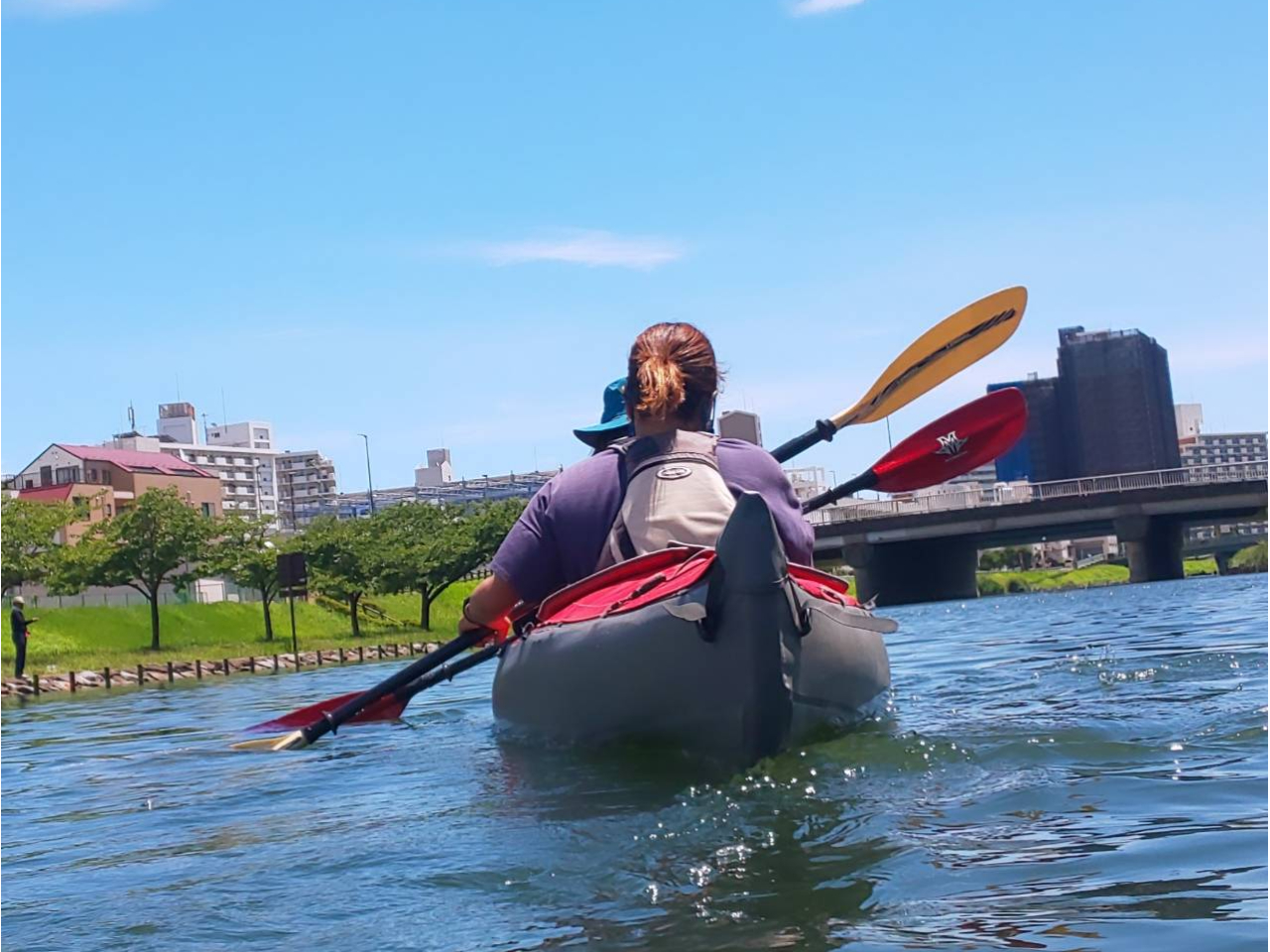 水に近い目線から楽しめます。